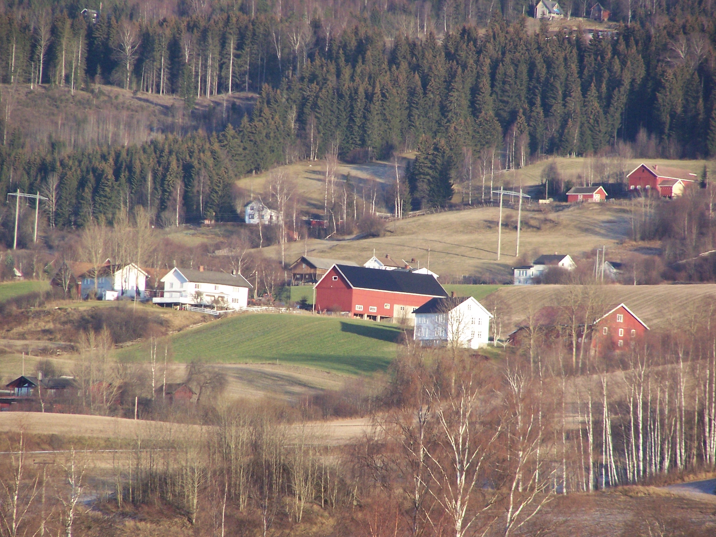 foto